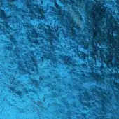 Blue with Silver Back